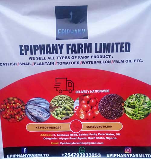 image 1 EPIPHANY FARM LTD