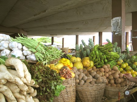 Fruits et légumes  - fruits et légumes fruits et légumes de saison--les fruits et les légumes sont les parties comestibles de certaines plantes utilisées dans l'alimentation de l'homme et des animaux domestiques. lorsqu'ils sont consommés peu après leur récolte,  les fruits et légumes sont 