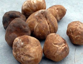 truffes algériennes