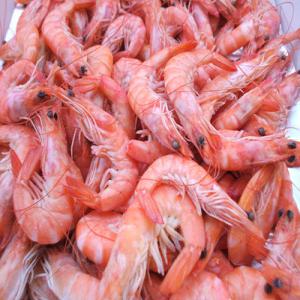 crevette royal ALGERIEN - poissons crevette  royal mediteranienne pecher pas  les meilleur  chalutier  de  fond  elle  classer  parmie  les meilleur qualité  elle est  exporter en espagne  est  elle fait  un exelent marcher laba  