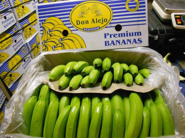 Vente Bananes Premium quality Cavendish - fruits et légumes nous représentons un producteur-exportateur de bananes en equateur. la production s'élève a 80.000 colis par semaine grâce aux 1800 hectares de bananeraies.--nous vendons spot fob pour l'europe,  russie,  medsea,  moyen-orient et chine.--les bananes sont cavendish de minimum 