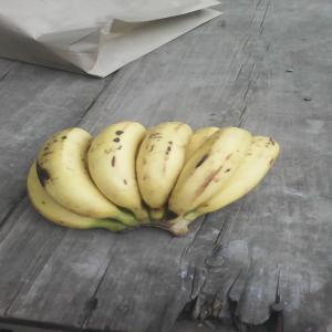 Bananes dessert  - fruits et légumes depuis l'an 2008,  mon exploitation bananière se trouve au rwanda sur les côtières du lac kivu. jusqu'aujourd'hui,  je ravitaille mom produit au marché national. et plus j'augment la superficie cultivable,  plus je suis poussé ā chercher le marché internati