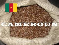 cafée Camerounais