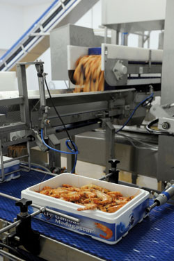 cuissons crevettes - matériels machines bonjour, --recherchons pour l'algerie un fabricant pour la vente et l'installation d'une unité complete de cuissons de crevettes