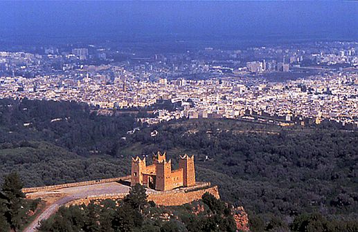 Partenariat association Huilerie moderne au Maroc - huiles cherche partenaire etranger pour association dans une unité de--trituration des olives dans la région de beni mellal au maroc 