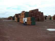 BOIS DU CAMEROUN - bois charbon fibre nous recherchons  des clients, en algerie,  tunisie,  et libye. pour acheté du très bon bois de toute essences venant d’afrique au cameroun. - marque - moabi,  padouk,  sapelli,  azobé,  doussié,  tali, okan--notre entreprise implantée à douala au cameroun,  est une e