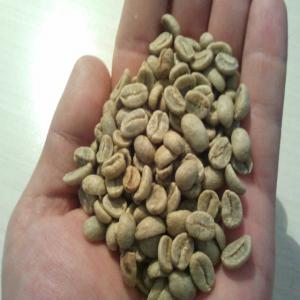 café vert de colombie en grain 100% arabica