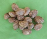 AMANDES DE KARITE - matières grasses nous disposons des amandes de karité de la nouvelle saison en grandes quantités.livrées en sacs de 80 kg.--nous livrons en fob tema,  fob abidjan. 