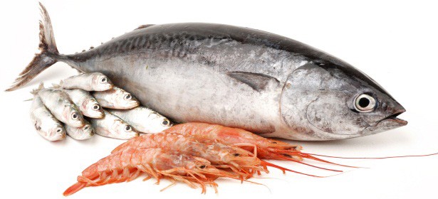 Produits de la mer du Pérou - poissons bonjour, ----nous exportons de nombreuses variétés de poissons,  céphalopodes,  crustacés et autres produits de la mer en provenance du pérou.----n'hésitez pas à prendre contact avec nous pour obtenir la liste exhaustive de nos produits.----cordialement.