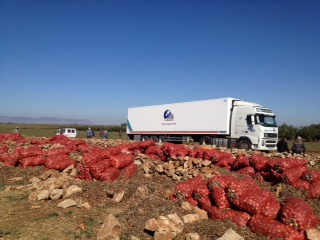 LEGUMES DE QUALITE - fruits et légumes ognion export et autres legumes qualite made--l art de produire la qualité a un prix competitif