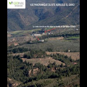 A LOUER DOMAINE AGRICOLE - mine terrain concession a louer une ferme de 27 hectares plantee d'olives de tables amandiers peches plates mandarines avec trois puits et une belle villa de 220 m2 a 40km de tunis sur la route c35 vers bouficha a partir de mornag avec la possibilite de developper un projet ecotouristique.