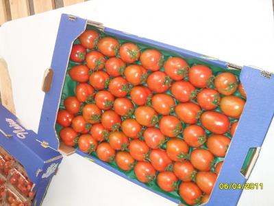 tomates exotiques irrigués avec des eaux thermale - fruits et légumes à vendre des tomates fraiches (tomates exotiques irrigués avec des eaux thermales,  ayant un gout spécial et produite hors saison)le transport doit etre fait dans un camion frigorifié à une température constante de 7°c.-- les expéditions sont hebdo