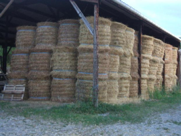 VENDS FOIN, PRAIRIE NATURELLE - aliments pour animaux vends foin,  prairie naturelle--botte cubiques de 400 kgs.--quantite 500 tonnes.--90 euros ttc--livraison assuree par camion remorque.