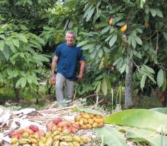 fournisseur café cacao thé Recherche des clients - café cacao thé je recherche des grossiste pour la vente des mes produits(cafe torrefie modèle turc utilise dans les pays de l'europe de l'est)condition, un contrat de 2 conteneur par moi sera signe 