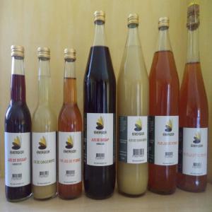 BOISSON AU GINGEMBRE, HIBISCUS, ...JUS DE POMME - jus concentré sirop nous vendons des boissons au gingembre,  à l'hibiscus et des jus de pomme. --vous voulez etre distributeur ou partenaire pour les boissons ?--c'est une occasion à ne pas rater!--pouvez-vous distribuer nos produits ? --voulez-vous importer nos produits ?--nous cherchons des clients ou pa