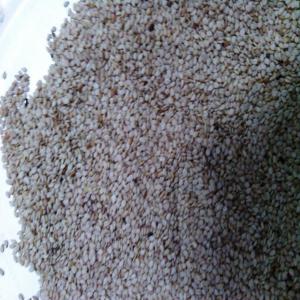 SESAME Blanc - céréales bonjour, --nous disposons de 300 tonnes de sésame blanc nettoié  provenant directement de l'agriculteur.--nous pouvons vous fournir jusqu'à 300 tonnes.--tarif négociable pour des quantités très importantes.--prix en fonction du cours,  nous sommes en dessous.-