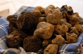 truffes blanches et rouges - fruits et légumes bonjour, ----je mets en vente plusieurs tonnes de truffes rouges et blanches,  de grande et moyenne tailles.--dans des sacs ou en vrac.----merci de nous contacter pour votre commande.----cordialement