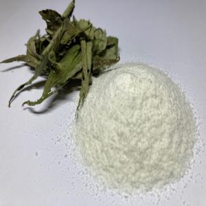 STEVIA  SG95 CERTIFICATION D'ORIGINE PARAGUAY  - produits sucrés disponibilité immédiate de 1 tonnes de glycoside de steviol ( stevia naturel certification et dénomination d'origine paraguay ),  possibilité de programmation pour livraison de plusieurs tonnes mensuelles.----