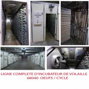 LIGNE COMPLETE D'INCUBATEUR DE VOLAILLE - matériels machines bonjour,  nous disposons pour notre partenaire allemand,  d'une ligne complète d'incubateur de volaille d'une capacité de 68 040 œufs par cycle.nous consulter pour infos.