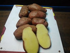 MOROCCAN FRESH POTATOES - fruits et légumes we are farmer and packer of all fruit and vegetables in morocco--fresh potatoes red and white ( bags of 15 kgs or non washed in big bags of 1200kg)all sizes availables--