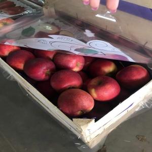  POMME ROUGE DE POLOGNE - fruits et légumes offre pommes  calibre 70+ --producteur de pommes spécialisée dans l'export de pommes de diverses varietes en grande quantites.  --conditionnement - en cagettes 13 kg pour plus de details,  n'hesitez pas a nous contacter. 