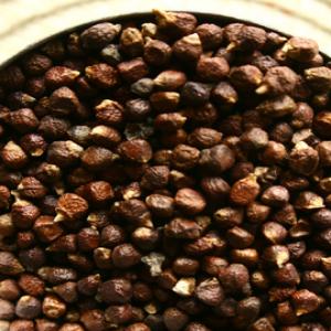 grains of paradise - épices aromates we are an important exporter of a grains of paradise looking for a good an permenent buyer. we plan to sign a contract for long term with a regular buyer thanks