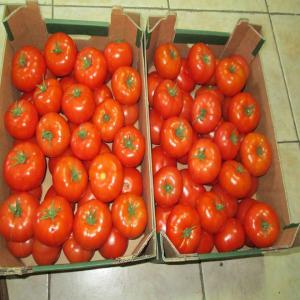 ¨TOMATE  - fruits et légumes bonjour --cher clients a vendre--tomate calibre bb et bbb --prix de 6 kg  4.9 euro----contactez moi pour plus d'info 