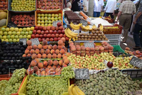 fruit légume - fruits et légumes nous somme une société d'import et export installé en tunisie depuis des années on cherche a collaborer avec des gens sérieux pour réaliser des idées de commercialisation  des-produit agro alimentaire