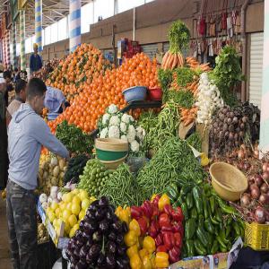 fruits+legumes ''fraiche'' emballé de TUNISIE  - fruits et légumes nous somme une societer import export , siége en tunisie.., ont disopose tout produit légumes et fruits (année 2014).., fraiche et delicieux.., --remarque-annonce pour les serieux..---restrictions-fob et cif..vers monde entier---emballage- bio---contract long-terme si possible..---p