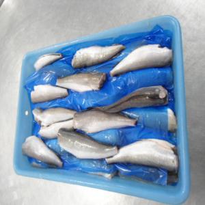 Merlu (Hake)  HGT congelé - poissons merlu (hake),  tronc avec ou sans tete. --nous avons une offre trés interessante de merlu,  de tres bonne qualité. procedante de l'amerique du sud. peche regulière.--nous disposons aussi d'autres types de poisson.--contactez nous pour d'autres renseignements