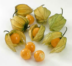 physalis  frescos - fruits et légumes vendo 2 toneladas  de fysalis  frescos 4.000 euros a tonelada--em portugal--manuel pires 