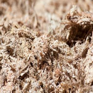 Sphagnum peat moss - vegetable matter dear sir/madam, --we sell top quality sphagnum peat moss from madagascar which i believe is ideal for use with your products. it has excellent water retention and is totally environmentally friendly with a ph level 4.8.--