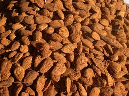 Les amandes de Taznakhte et Région  - fruits secs et graines grillées  nous disposons d’énorme quantité d'amande disponible immédiatement en vrac  . nous recherchons des clients sérieux pour la commercialisation. merci de nous contacter . le prix 