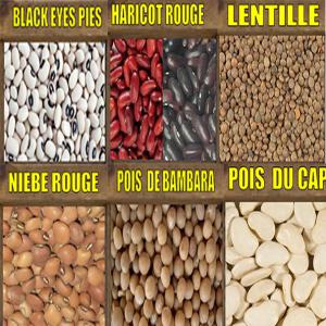 GRAINS SECS PAS CHERS  - céréales cherche acheteurs de grains secs---blacks eyes pies, haricots, soja, lentilles, amberiques, --niebes, poids de cap, pois de bambara.--produits de qualites.--contactez nous!