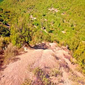 Terrain agricole en region de tanger a vendre. - mine terrain concession vends terrain agricole de 5 hectares et 4000 m² en bordure d'une route . sol très fertile. prix 7 dhs/m² ,  total 378 000 dhs. visite en rendez-vous payante.