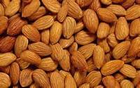 Almond Nuts - autres description----1. type- almond--2. nom- almond nuts--3. type de traitement- raw--4. style- secs--5. goût - doux----haute qualité extra variété noix amande fraîche est produite avec une très bonne qualité .----il est très populaire dans les r&eacu