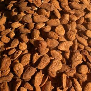 AMANDES ESPAGNE GRANDES QUANTITEES - fruits secs et graines grillées amandes origine espagne en grandes quantitees--avec ou sans transports----a partir de 20 t --contact   