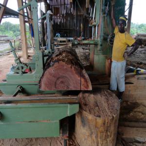 Bois scié tropical du Gabon - bois charbon fibre nous exportons des avivés,  bois scié,  tranché,  planches provenant des bois rares exotiques et tropicaux du gabon,  guinée equatoriale et congo brazzaville. acajou,  azobé,  okan,  kéva,  béli,  padouk,  iroko,  sapelli,  ovengkol,  okoumé,  etc.