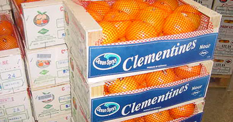 Clementines from Morocco - fruits et légumes we export clementines from morocco to russia,  we produce all varities including currently seedless sidi aissa and nules,  price fob agdadir/casablanca,  price 850 usd/mt,  payment terms- 80% swift advance 15% against docs and 5% after receipt of goods; calibers 1/2/3