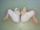 Ailes de poulet Halal - viandes et oeufs caractéristiques----caractéristiques--les morceaux de poulet de haute qualité nos poulet leq quarters sont spécialement main abattus en conséquence pour islamic--caractéristiques----les morceaux de poulet de haute qualité nos poulet leq quarters sont 