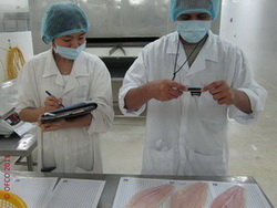 Poissons Congelé - Surgelé - Inspection Services  - poissons entreprise spécialisée dans le contrôle qualité des poissons et produits de la mer provenant du vietnam.------totalement indépendant et composé d'équipes internationales,  nous offrons également à nos clients réguliers nos services 