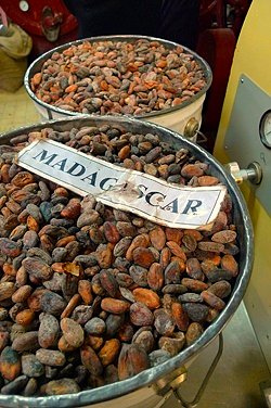 Café cacao thé et fruits et légume de Madagascar