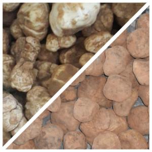 Truffes ou Terfas  - fruits et légumes fournisseur de truffes marocaines blanches et rouges (zbidi)du sahara a partir de fin février, --possibilité de mettre en boîte de conserve de 400gr pour la rouge.