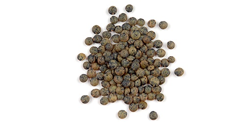 French Green Lentils - starchy french green lentils are very popular in food industries throughout the world. we source whole and split varieties depending on your needs. we source,  trade and export the highest quality french green lentils worldwide. we are directly working with world’s top agricultural producers to fulfill all y