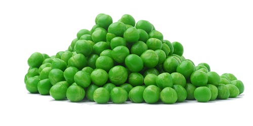 Green Peas - starchy we have the highest quality selection of green peas available. sourced primarily from canada,  we have established strong bonds with our suppliers which allows us to guarantee freshness and quality. we source,  trade and export the highest quality green peas worldwide. we are directly working with wor