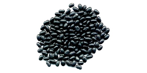 Black Beans - starchy black beans are popular in many cuisines. they are cultivated in various parts of the world. we source,  trade and export the highest quality black beans worldwide. we are directly working with world’s top agricultural producers to fulfill all your requirements at competitive prices. we pride ourselv