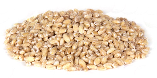 Barley - cereals we have partnered with some of the worlds top barley producers so we always bring you the highest quality. we source,  trade and export the highest quality barley worldwide. we are directly working with world’s top agricultural producers to fulfill all your requirements at competitive prices. we prid