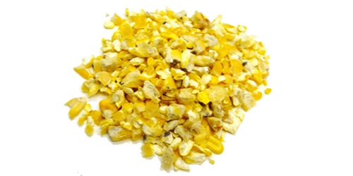 Cracked Corn - feed a common and useful type of food for birds,  cracked corn is often overlooked or dismissed as an inferior seed. because it is easily available and affordable,  however,  cracked corn is a great option for feeding many backyard birds. we source,  trade and export the highest quality cracked corn worldwid