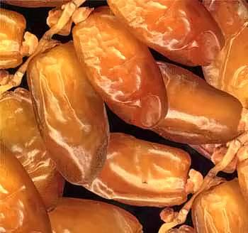 datts algerien - fruits secs et graines grillées  datte algerien deglet nour tout vos chois 1 et 2 et 3èm  et des chembre froids  plus des service profetionel dans le doman et....