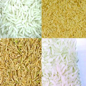 riz d'asie du sud-est - céréales nous commercialisons du riz produit dans les pays d’asie du sud-est et notamment de birmanie,  du cambodge,  de l’indonésie,  de malaisie,  des philippines,  de thaïlande et du viet nam.----le riz est conditionné dans des sacs de 25-50 kg.--la livraison se fait directement au port du pays d